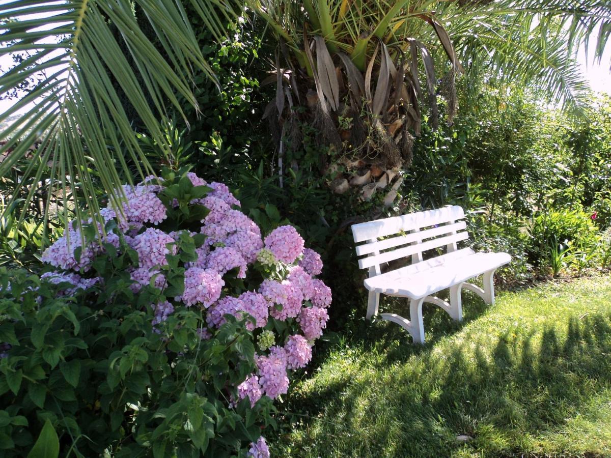 Inviting Holiday Home In Montemor O Novo With Pool מראה חיצוני תמונה