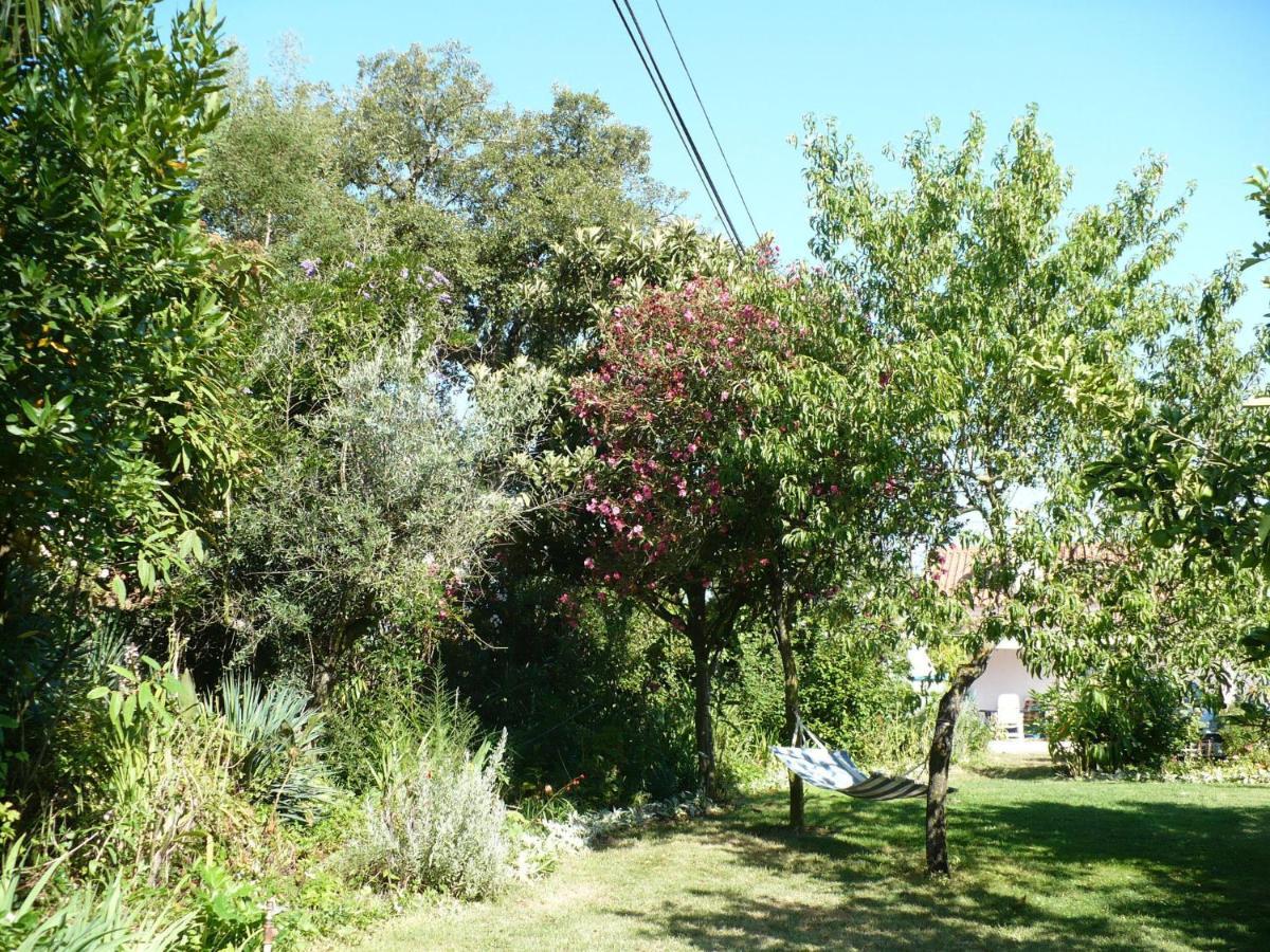 Inviting Holiday Home In Montemor O Novo With Pool מראה חיצוני תמונה
